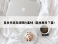龙口昆虫网站高清照片素材（昆虫图片下载）